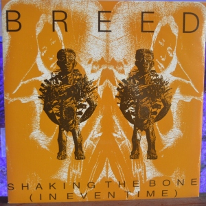 Shaking The Bone (In Even Time) Image