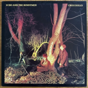 Crocodiles Image