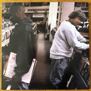 Endtroducing Image