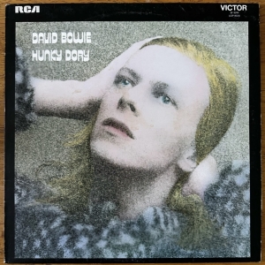 Hunky Dory Image
