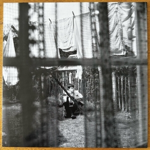 Chaos And Creation In The Backyard Image