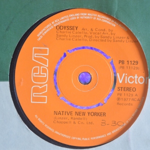 Native New Yorker Image