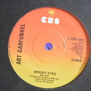 Bright Eyes Image