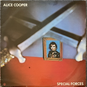 Special Forces Image