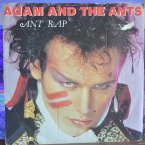 Ant Rap Image