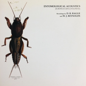 Entomological Acoustics (European Gryllotalipidae) Image