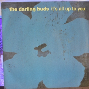It's All Up To You Image
