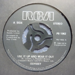 Use It Up And Wear It Out Image