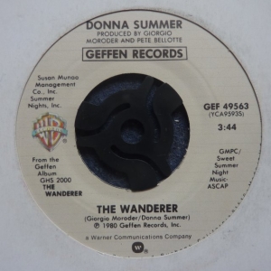 The Wanderer Image