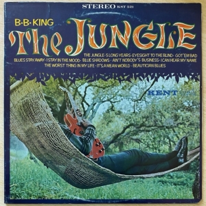 The Jungle Image
