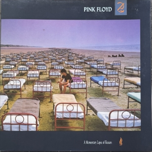 A Momentary Lapse Of Reason Image