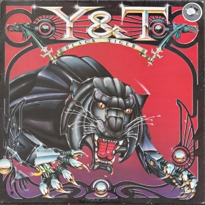 Black Tiger Image