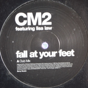 Fall At Your Feet Image