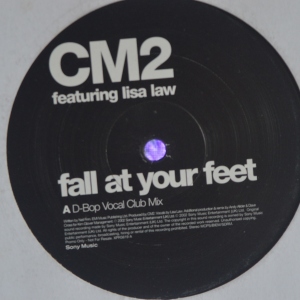 Fall At Your Feet Image