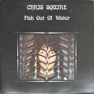 Fish Out Of Water Image