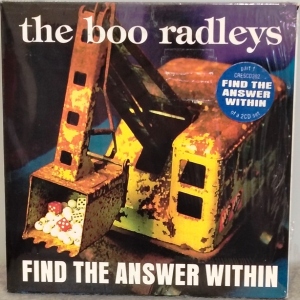 Find The Answer Within Image