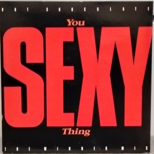 You Sexy Thing / Every 1's A Winner Image