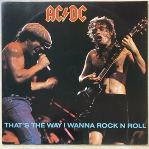 That's The Way I Wanna Rock N Roll Image