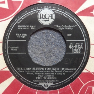 The Lion Sleeps Tonight (Wimoweh) Image