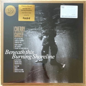 Beneath This Burning Shoreline Image