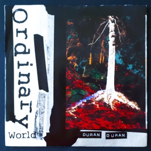 Ordinary World Image