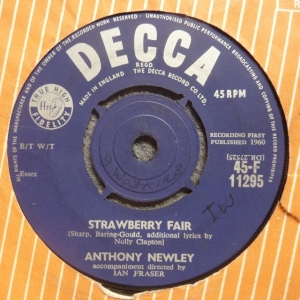 Strawberry Fair Image