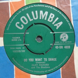 I'm Lookin' Out The Window / Do You Want To Dance Image