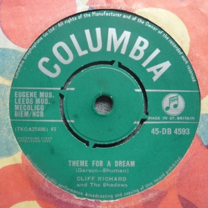 Theme For A Dream Image
