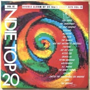 Indie Top 20 Volume IX Image