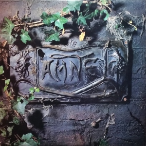 The Black Album Image