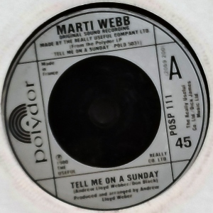 Tell Me On A Sunday Image