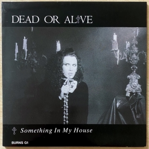 Something In My House Image