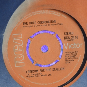Freedom For The Stallion Image