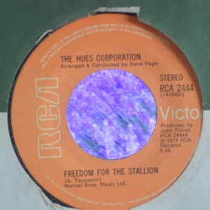 Freedom For The Stallion Image