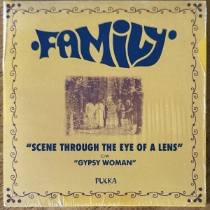 Scene Through The Eye Of A Lens Image