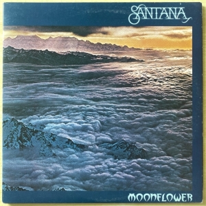 Moonflower Image