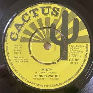 Misty Image