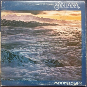 Moonflower Image