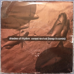 Sweet Revival (Keep It Comin') Image