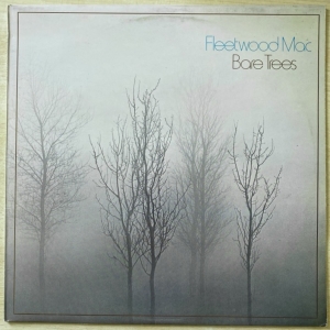 Bare Trees Image