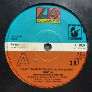 I Can't Stand The Rain Image