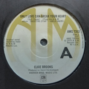 Only Love Can Break Your Heart Image