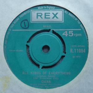 All Kinds Of Everything Image