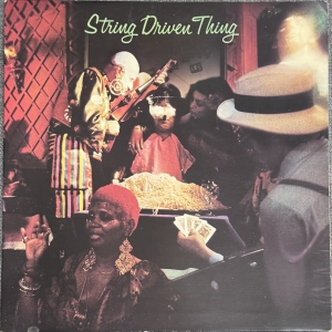 String Driven Thing Image