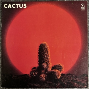 Cactus Image