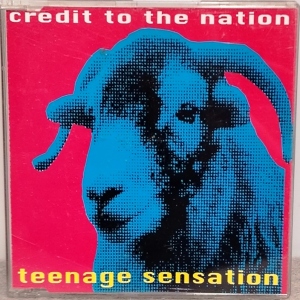 Teenage Sensation Image