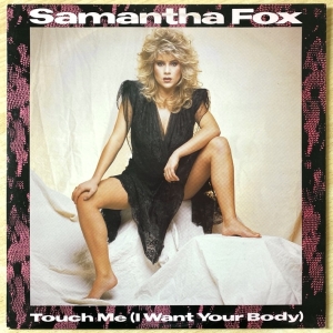 Touch Me (I Want Your Body) Image