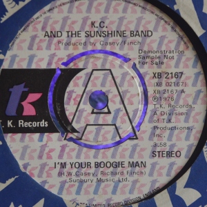 I'm Your Boogie Man Image