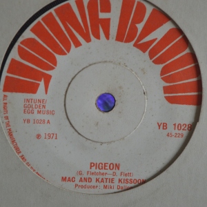 Pigeon Image