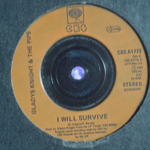I Will Survive Image